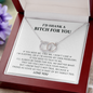 Gift for Best Friend Pair Necklace, Sister, I’d Shank a Bitch for You Gift, Funny Birthday Gift Idea