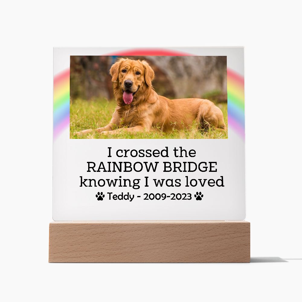 Personalized Pet Memorial Gift, Pet Loss Gift, Dog Loss Gift, Cat Loss Gift, Pet Sympathy Gift, Pet Photo Portrait
