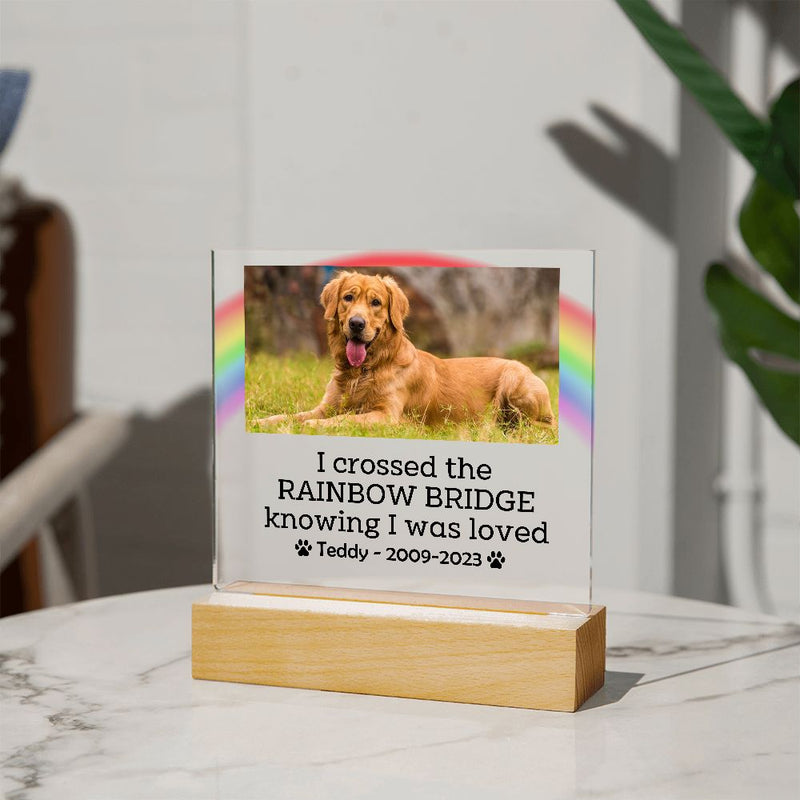 Personalized Pet Memorial Gift, Pet Loss Gift, Dog Loss Gift, Cat Loss Gift, Pet Sympathy Gift, Pet Photo Portrait