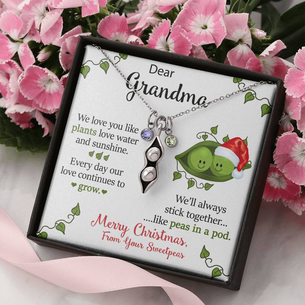 To Our Dear Grandma Personalized Christmas Gift From Your Grandchildren Pea To Your Pod Necklace | Christmas Gift for our Grandma