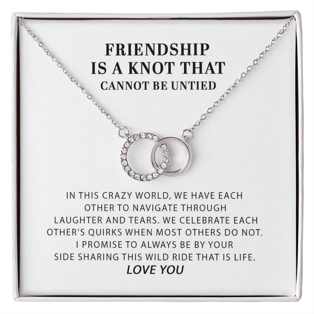 Funny Gift for Best Friend Pair Necklace, Sister Gift, To A Friendship That Cannot Be Untied, Funny Birthday Gift Idea