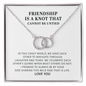 Funny Gift for Best Friend Pair Necklace, Sister Gift, To A Friendship That Cannot Be Untied, Funny Birthday Gift Idea