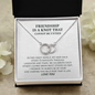 Funny Gift for Best Friend Pair Necklace, Sister Gift, To A Friendship That Cannot Be Untied, Funny Birthday Gift Idea