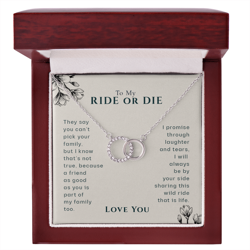 To My Ride Or Die Best Friend Pair Necklace | BFF, Best Friend, Unbiological Sister, Birthday Gifts, Best Friend Gift