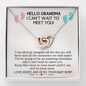Hello Grandma I Cant Wait to Meet You From Baby Bump Interlocking Hearts Necklace| Gift for Grandma| Gift From Baby Bump| Gift for New Grandma| Pregnancy Reveal Gift