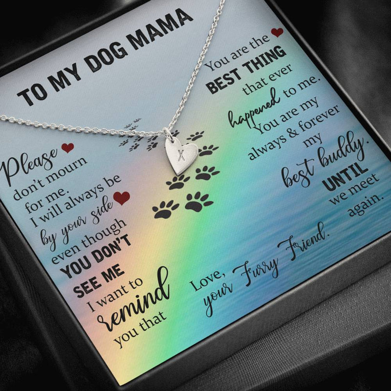 To My Dog Mama, Don't Mourn For Me Rainbow Bridge Necklace | Loss of Dog memorial necklace | Dog loss gifts | Rainbow Bridge Dog | Pet sympathy gift