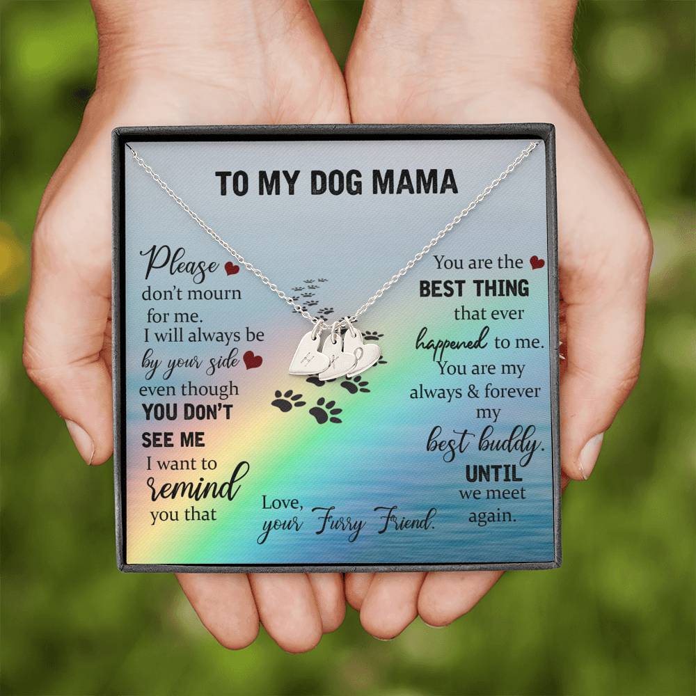 To My Dog Mama, Don't Mourn For Me Rainbow Bridge Necklace | Loss of Dog memorial necklace | Dog loss gifts | Rainbow Bridge Dog | Pet sympathy gift