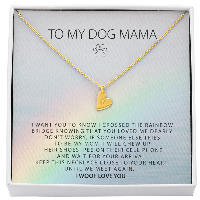 Personalized Rainbow Bridge Dog Necklace, Loss of Dog Memorial Gift, Dog Loss Gift, Pet Memorial Necklace Gift