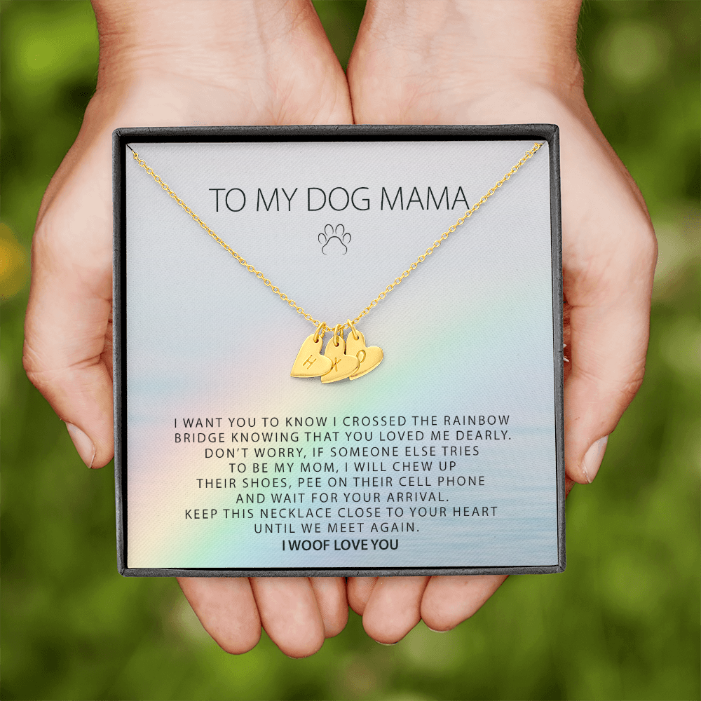 Personalized Rainbow Bridge Dog Necklace, Loss of Dog Memorial Gift, Dog Loss Gift, Pet Memorial Necklace Gift