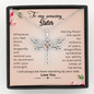 To My Amazing Sister Believe in Yourself Dragonfly Necklace | Encouragement Dragonfly Necklace Gift, Necklace to Sister from Sister and Brother