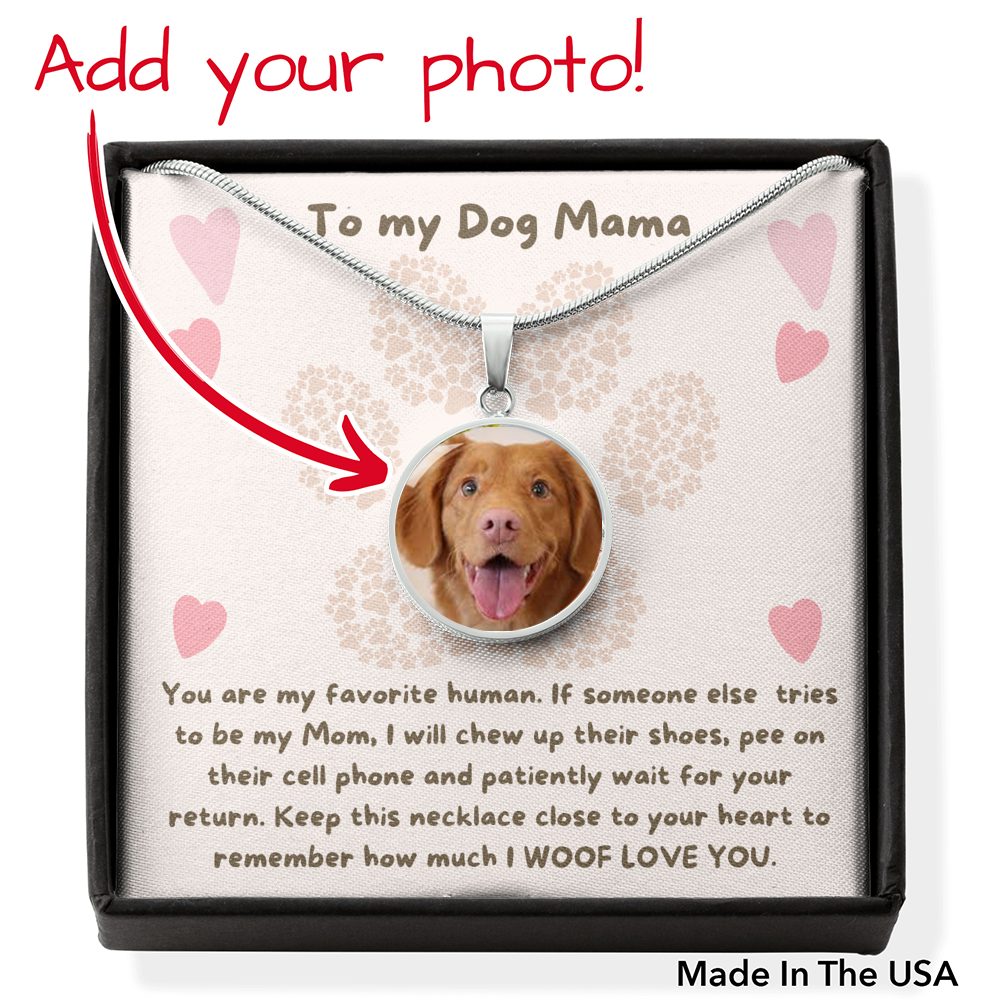 To My Dog Mama, You Are My Favorite Human Necklace