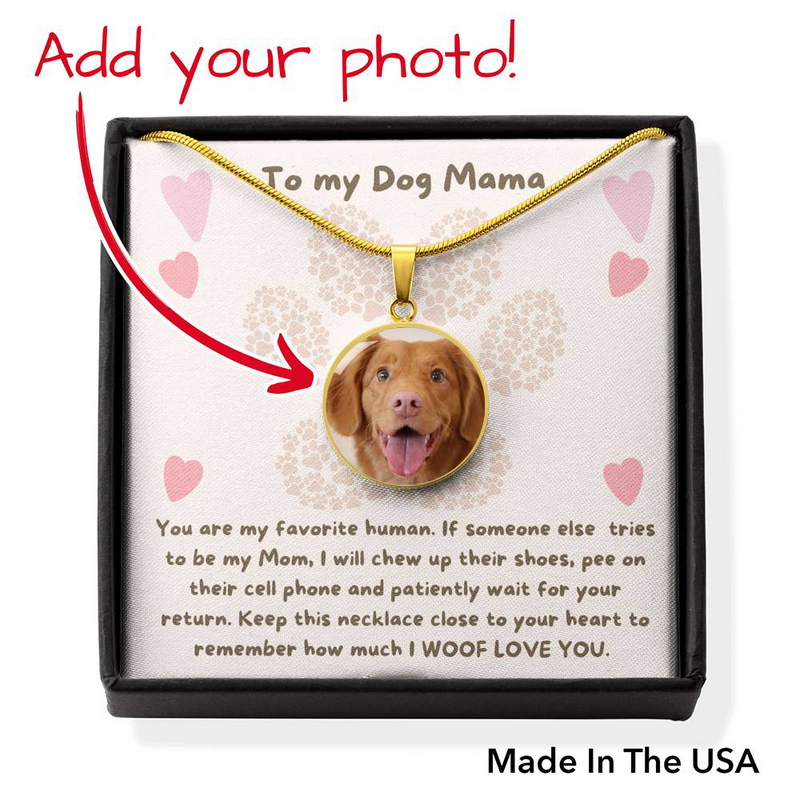 To My Dog Mama, You Are My Favorite Human Necklace